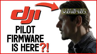 DJI FIRMWARE: based on a real drone story! 🔸 DJI Mini 2 / Mini 3 Pro / Mini 4 / Air2s / Mavic 3