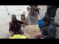 🛑 பரபரப்பான பொன்னாலை மீன் சந்தை🐟 jaffna fish market ponnalai sri lanka