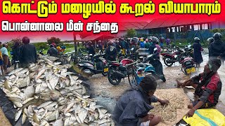 🛑 பரபரப்பான பொன்னாலை மீன் சந்தை🐟 | Jaffna Fish Market | Ponnalai | Sri Lanka