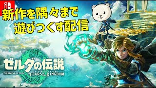 ゼルダ新作！ティアキンを隅々まで遊びつくす配信 #1【ゼルダの伝説 ティアーズ オブ ザ キングダム】