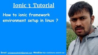 How to ionic framework environment setup in linux ?