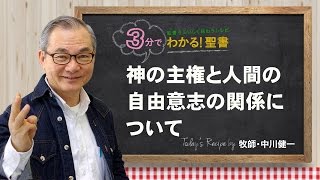 Q101 神の主権と人間の自由意志の関係について【3分でわかる聖書】