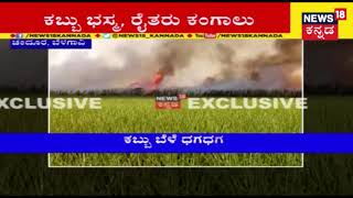 Fire Scorches Sugarcane Field In Belgaum As Farmers Incur Huge Loss