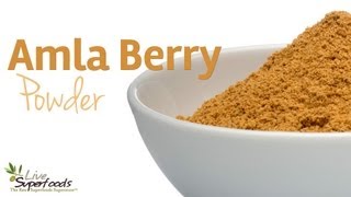 All About Amla Berry Powder - LiveSuperFoods.com