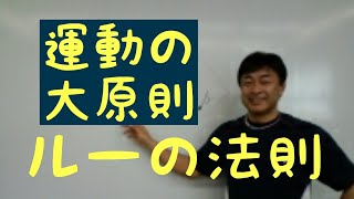 【運動の大原則ルーの法則】楽しく継続してトレーニングをするために知っておきたいこと