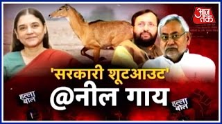 Halla Bol: 200 Nilgai Shot. Required, Says One Minister. Unacceptable, Says Another