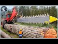 150 Incredible Dangerous EXTREME Fastest Big Chainsaw Cutting Tree Machines