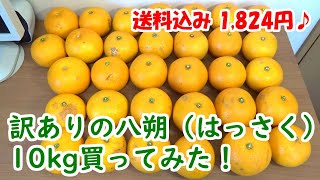 訳あり の 八朔（はっさく）10kg 買ってみた！【送料込み 1,824円♪】