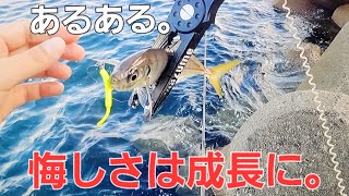 アジングこのタイミングでその良型が！状況激変アジの反応がなさすぎたのである事をしてみると。