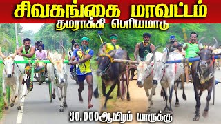 சிவகங்கை-மாவட்டம்-தமராக்கி-30.000ஆயிரம்-பந்தயம்11.12.2024