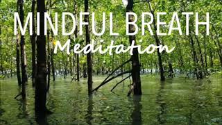 Mindful Breath Meditation  |  Radiate from Within