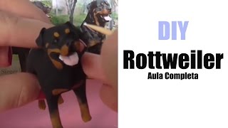 Aula Rottweiler Completa