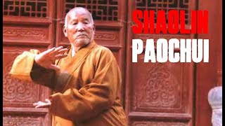 SHAOLIN CANNON FIST 少林炮拳 TUTORIAL (PART 1)