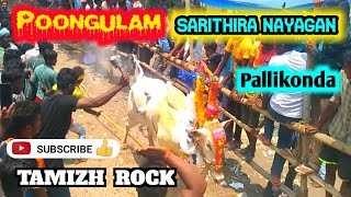 ||poongulam sarithira Nayagan ||pallikonda street ||2023 ||TamizhRock ||#eruthukattu# #jallikattu #