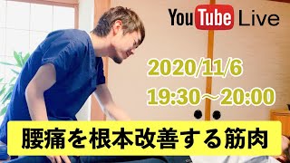 【関節トレーニング】腰痛を根本改善させる腹横筋・多裂筋のセルフエクササイズを簡単バージョンで公開！