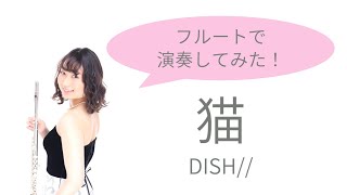 【フルート】猫/DISH//【J-pop】