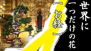 法話　世界に一つだけの花（お経）「仏説阿弥陀経」〜地中蓮華の花のこころ〜真宗大谷派僧侶 高科 修 師