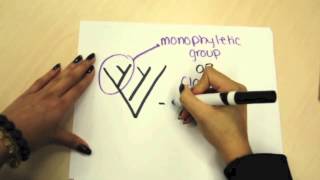 How to Understand Evolutionary Trees