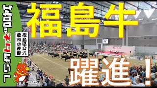 第12回全国和牛能力共進会に向けた取組 ～肉牛の部～