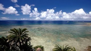 The Island ～奄美群島・沖永良部島～