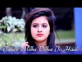 Tumse Milke Dilka Jo Haal | Main Hoon Na | Tiktok Famous Song | 2019 | Ft. Pallabi