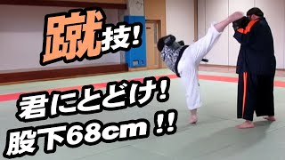 反復！上段廻し蹴り！【Kempo Squad - ATEMI】お目汚しご容赦！股下６８cmの蹴り！①