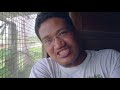 Vlog #3 Intro to Punta Gorda Life