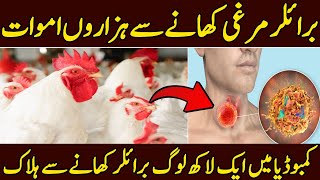 Broiler Chiken۔Good Or Bad For Health|Broiler Chiken Caused Death In Combodia|Healthy Life style
