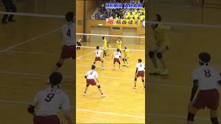 天才リベロ荒尾怜音サーブレシーブ集　#shorts #volleyball #リベロ