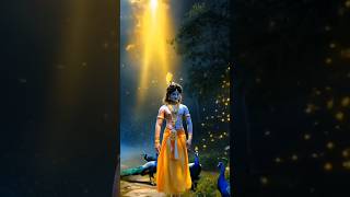 Krishna's amazing | കൃഷ്ണന്റെ ഗംഭീരമായ....