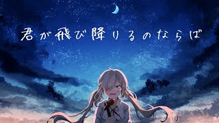 ✨オリジナルMV✨　君が飛び降りるのならば / 紙様　歌ってみた