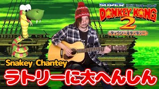 Snakey Chantey - Donkey Kong Country 2 (Guitar Cover)