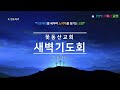 꽃동산교회 2025년 2월 5일 새벽기도회 고민영 목사 사도행전 20 1 12