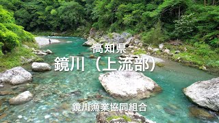 高知県　鏡川　〜神秘的な美しさをもつ上流部〜【鏡川漁業協同組合】