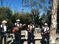 Los Luceritos de Michoacan -  El Corral de Piedra