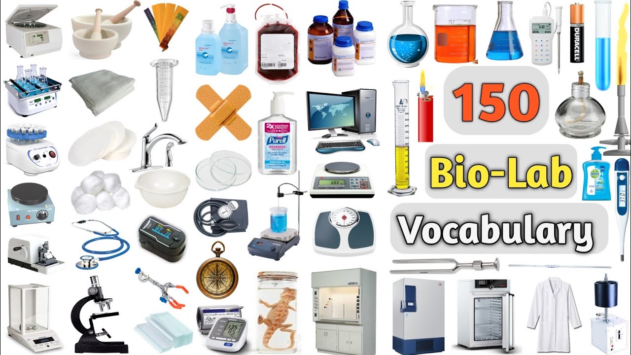 Bio-Lab Vocabulary Ll 150 Biological Laboratory Equipments Or Items ...