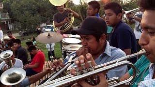 Puras Cumbias con la Banda Santa Rosa de Lima de Ixcatepec, Ver.