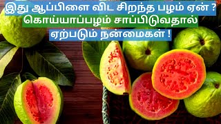 கொய்யாப்பழம் சாப்பிடுவதால் ஏற்படும் மருத்துவ நன்மைகள்! | Guava Health Benefits | #shorts