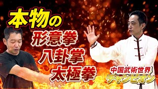 【驚愕】中国武術のヤバい肘の使い方〜形意拳・太極拳・八卦掌【後編】