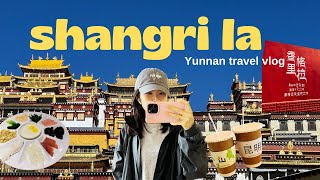 yunnan 云南 vlog | first time in shangri-la, ancient town, tibetan bonfire night, hiking 香格里拉vlog