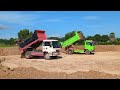 Wow Dump Trucks Fill More on Old Land | Amazing 4 Mini Bulldozers Hard Working