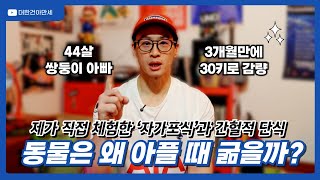 동물은 왜 아플 때 굶을까? 직접 체험한 ‘자가포식’과 간헐적 단식 (Autophagy)