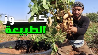 أحلى رحلة الى مزارع الفستق عشنا اسعد يوم بس في النهاية زعلنا كتير..#الريف_السوري #روتيني_اليومي