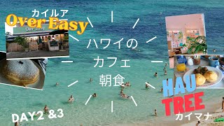 Hawaii Vlog【@カイマナビーチホテル】Day2ー３,カフェ朝食,カピオラニ公園散歩, #ハワイ #overeasy #hautree #ハウツリー