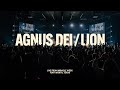 Agnus Dei / Lion - House Worship Live | Miracle Week 2024 at The House Fort Worth