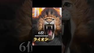 【意外な動物も】攻撃力ランキング 噛む力が強い動物 TOP16【#shorts #雑学 #ランキング #アニメ最強王図鑑  #動物 #最強王図鑑】