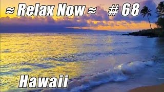 MAUAI Hawaii Keonenui Beach Sunset #68 Beaches Ocean Waves HD relaxing palm tree sounds video