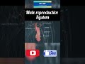 male genital organ 🙄😵‍💫 shorts viral