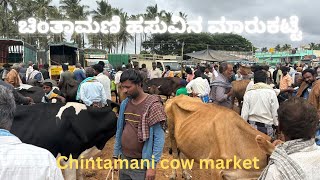 Chintamani cow 🐄 🐄 market Every Sunday 10/08/2024