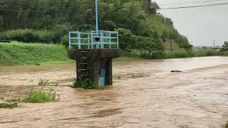 7日午前６時半頃 島根県出雲市平田町 川の増水